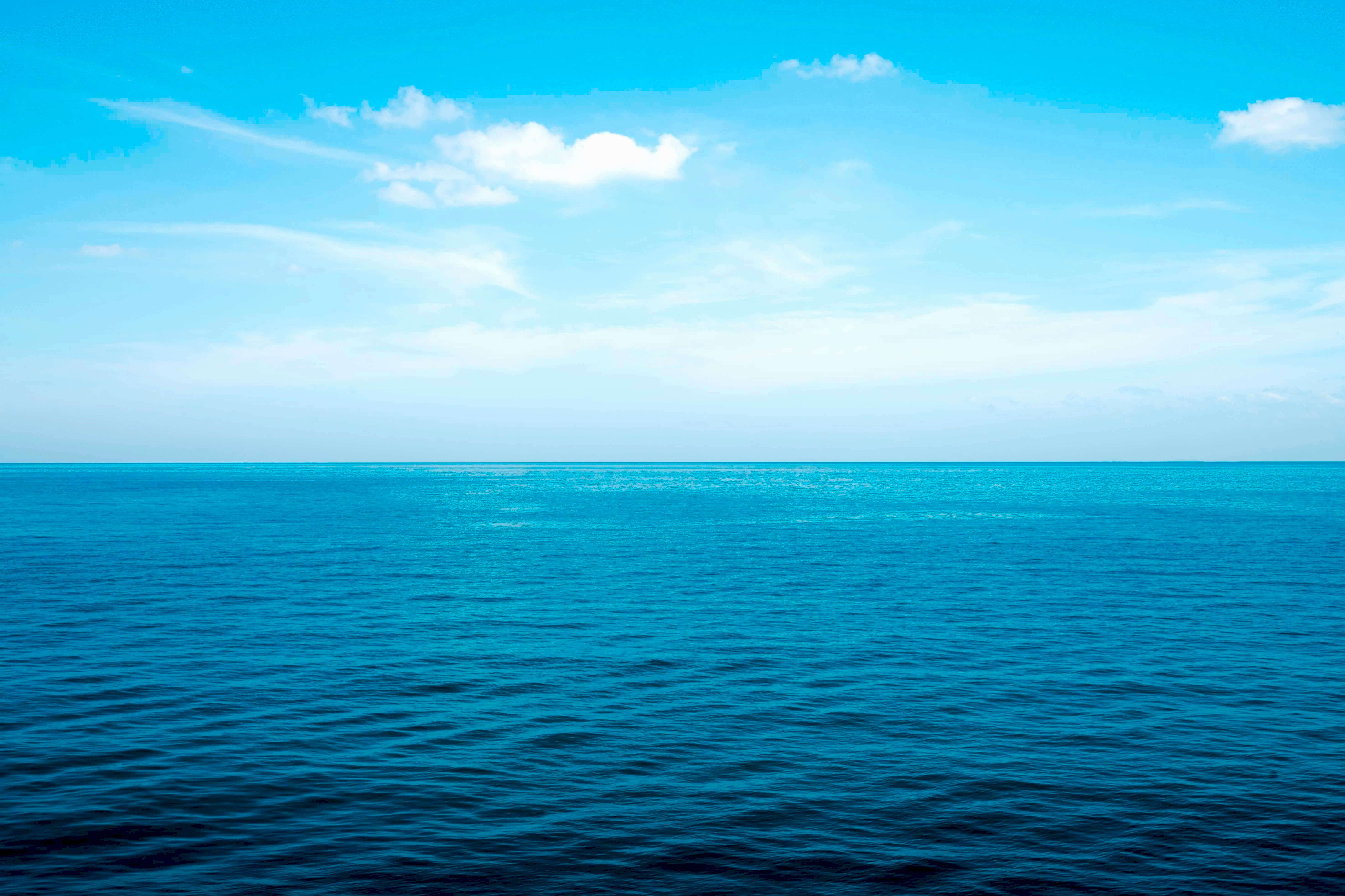 Okyanusları Korumak İçin Yapabileceğiniz 5 Şey