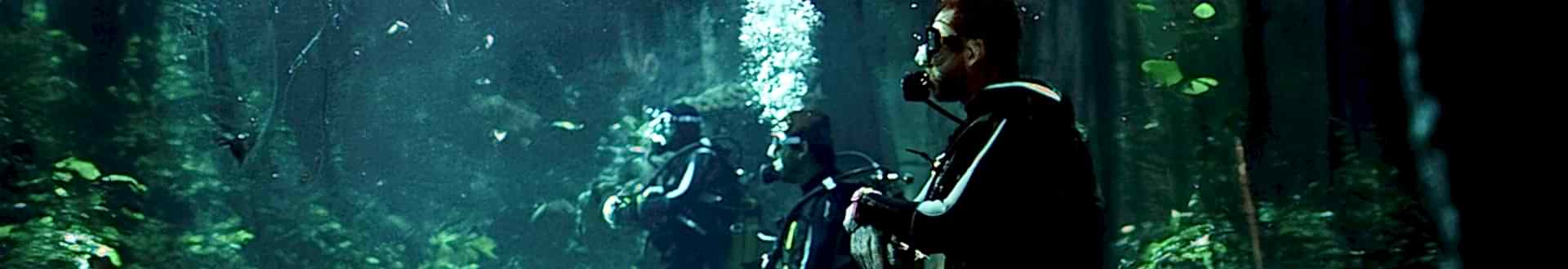 TEDAVİ VE KORUMA MERKEZİ