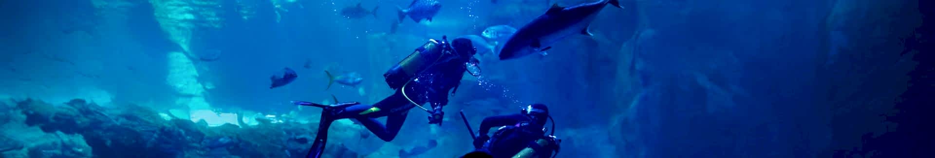 GİZLİLİK SÖZLEŞMESİ