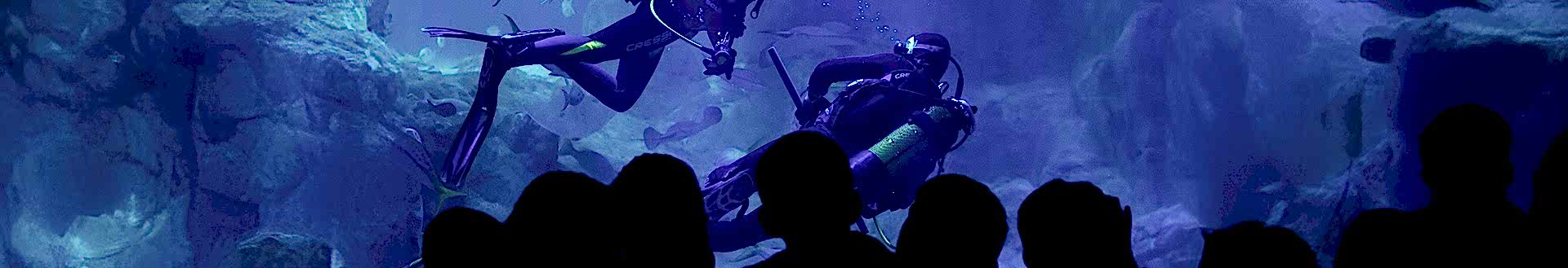 GRUP SATIŞ VE REZERVASYON