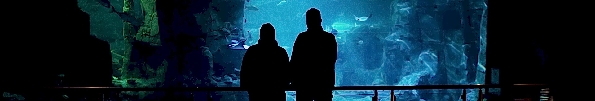 ZİYARETİNİZİ PLANLAYIN