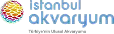 İstanbul Akvaryum Logo